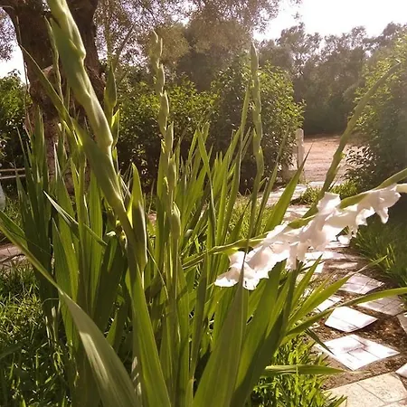 Ladina Casa di campagna *